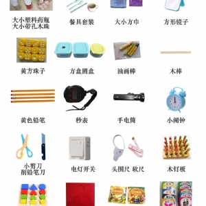 BSID贝利婴幼儿发展量表Bayley工具箱包